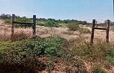 20 Hacters Farm For Sale
