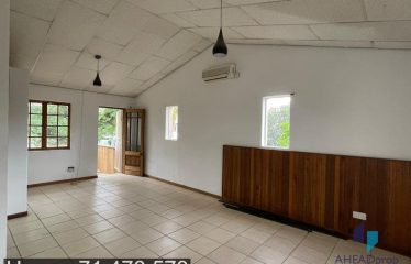 Double Storey For Rental