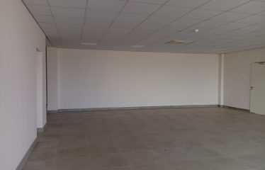 Newly Built Warehouse Available for Rent