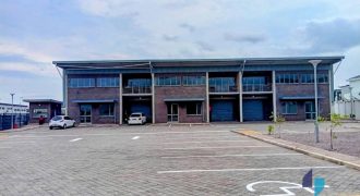 Newly Built Light Warehouses