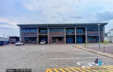 Newly Built Light Warehouses