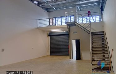 Newly Built Light Warehouses
