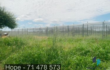 Mamashia Commercial/ Industrial Property for Sale