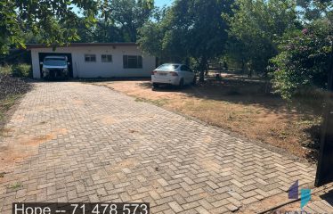 Freehold Property For Sale