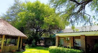 Three Bedroom House For Sale in Disaneng, Maun