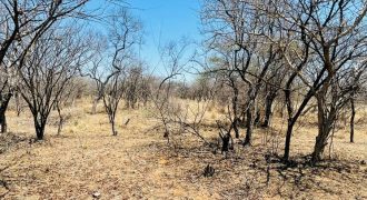 Empty Farm For Sale in Diile