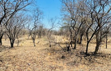 Empty Farm For Sale in Diile